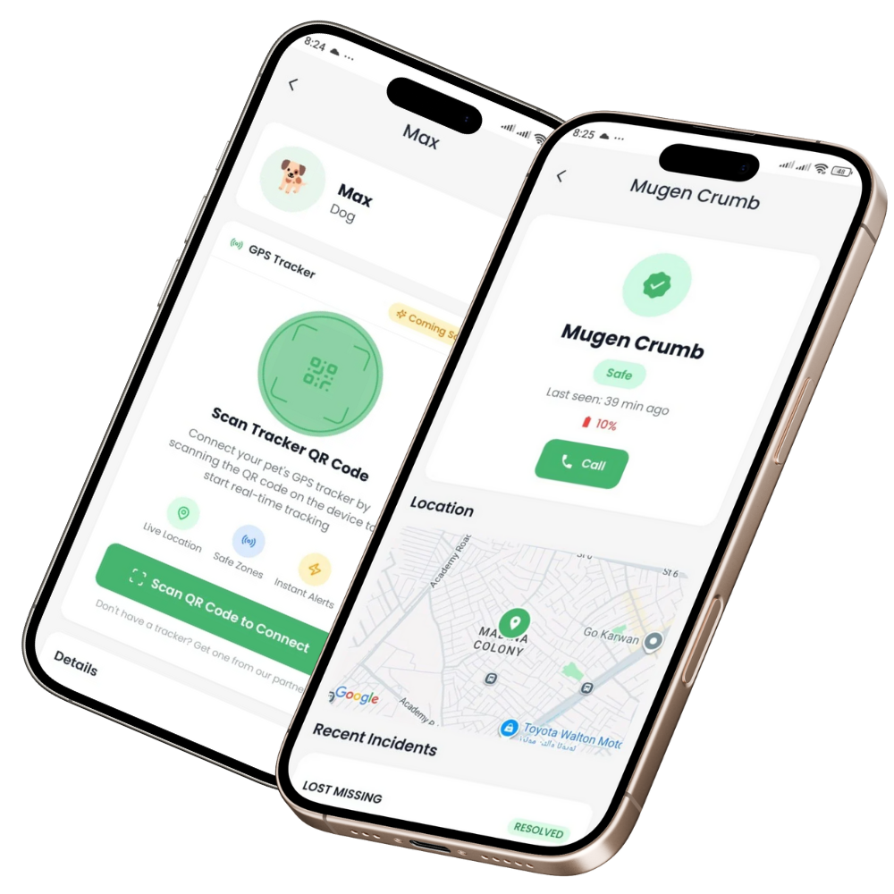 Location Sharing Feature